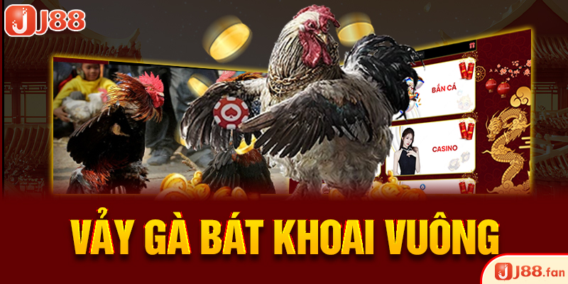 Vảy gà bát khoai vuông